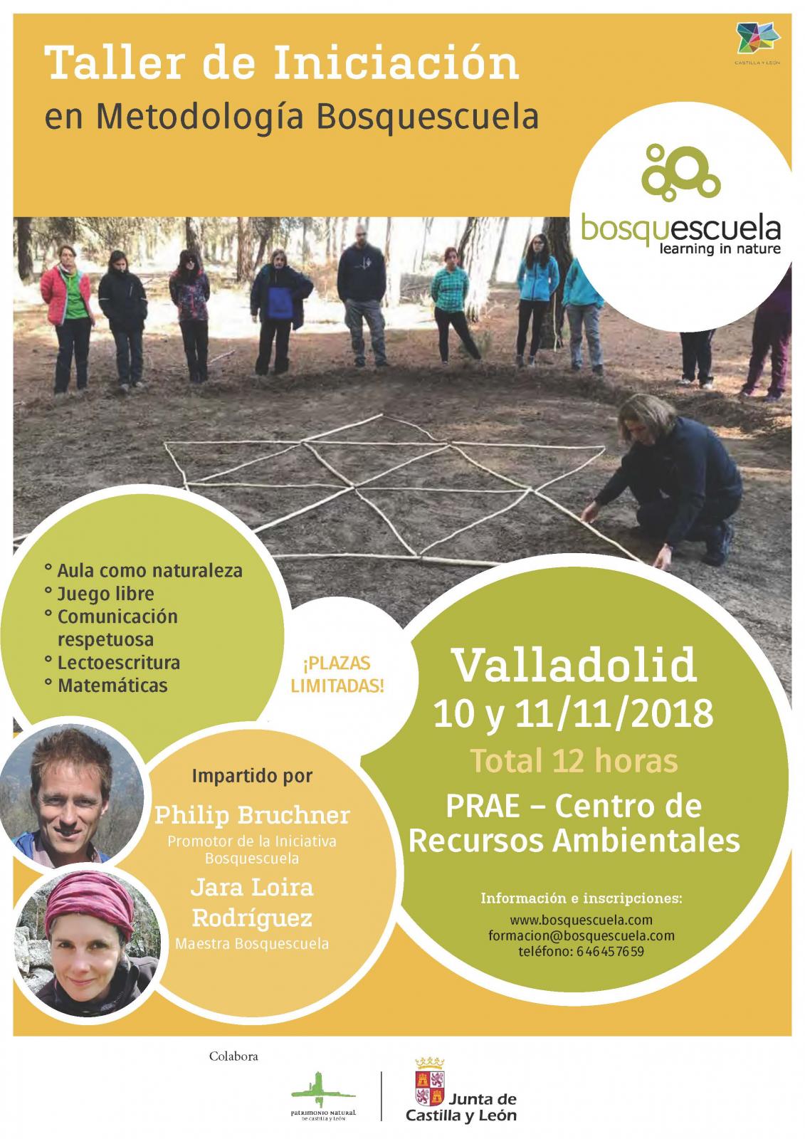 Taller de Iniciación en Metodología Bosquescuela