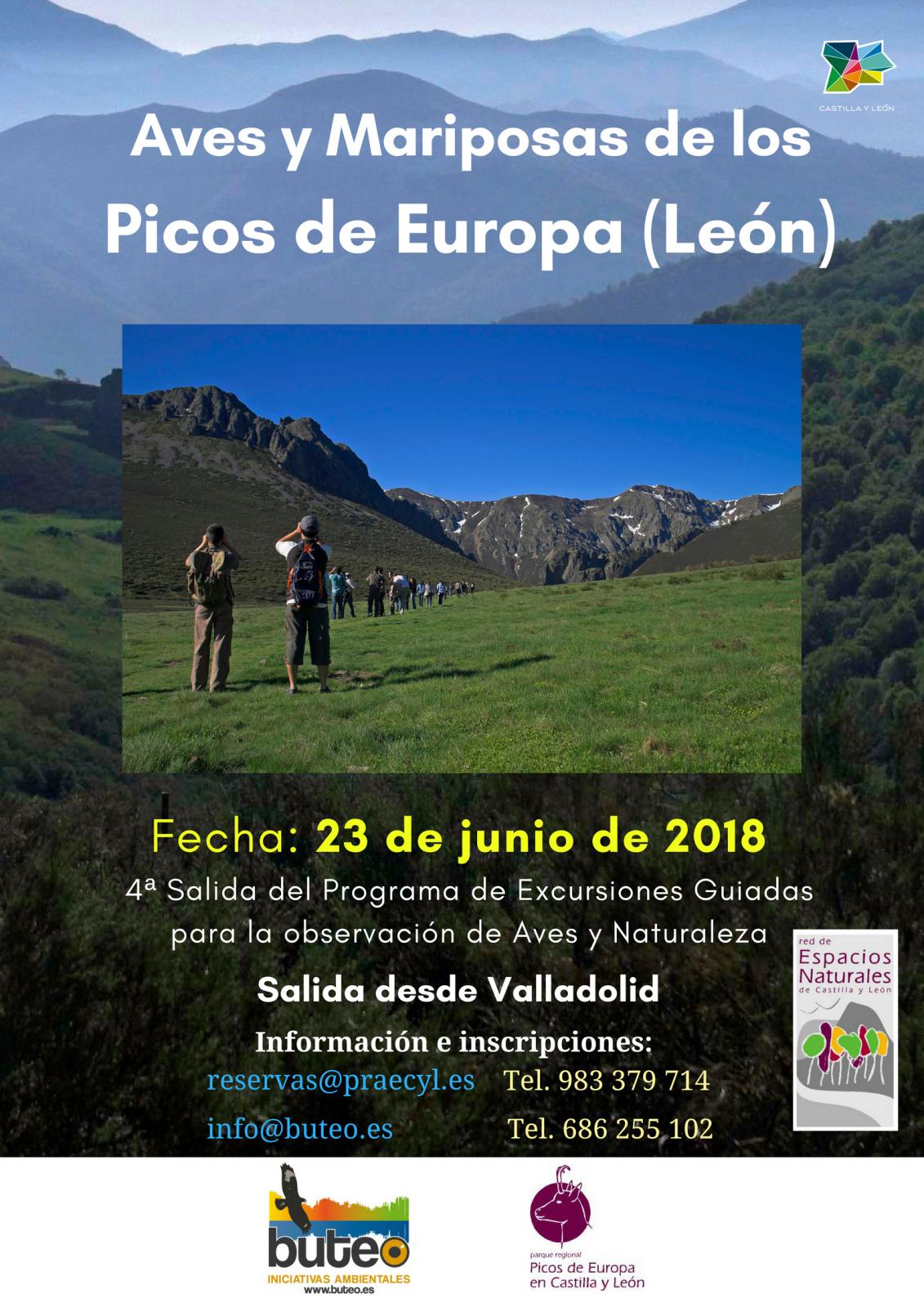 Observación de aves y mariposas en los Picos de Europa