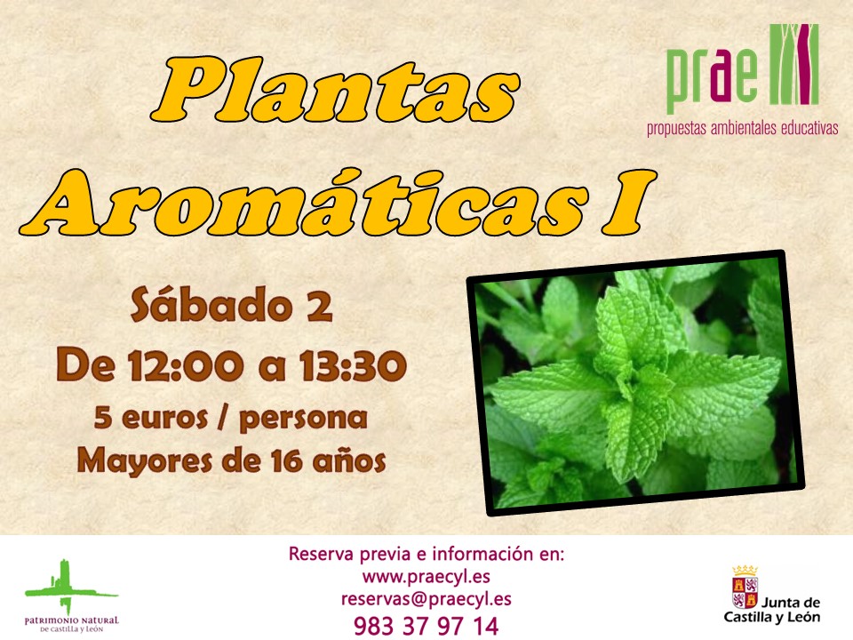 Aromáticas