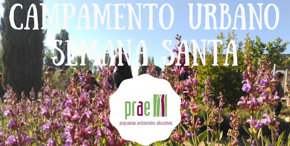 Campamento Semana Santa 7-12 años