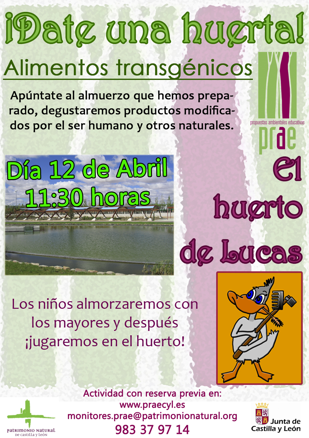 Transgénicos
