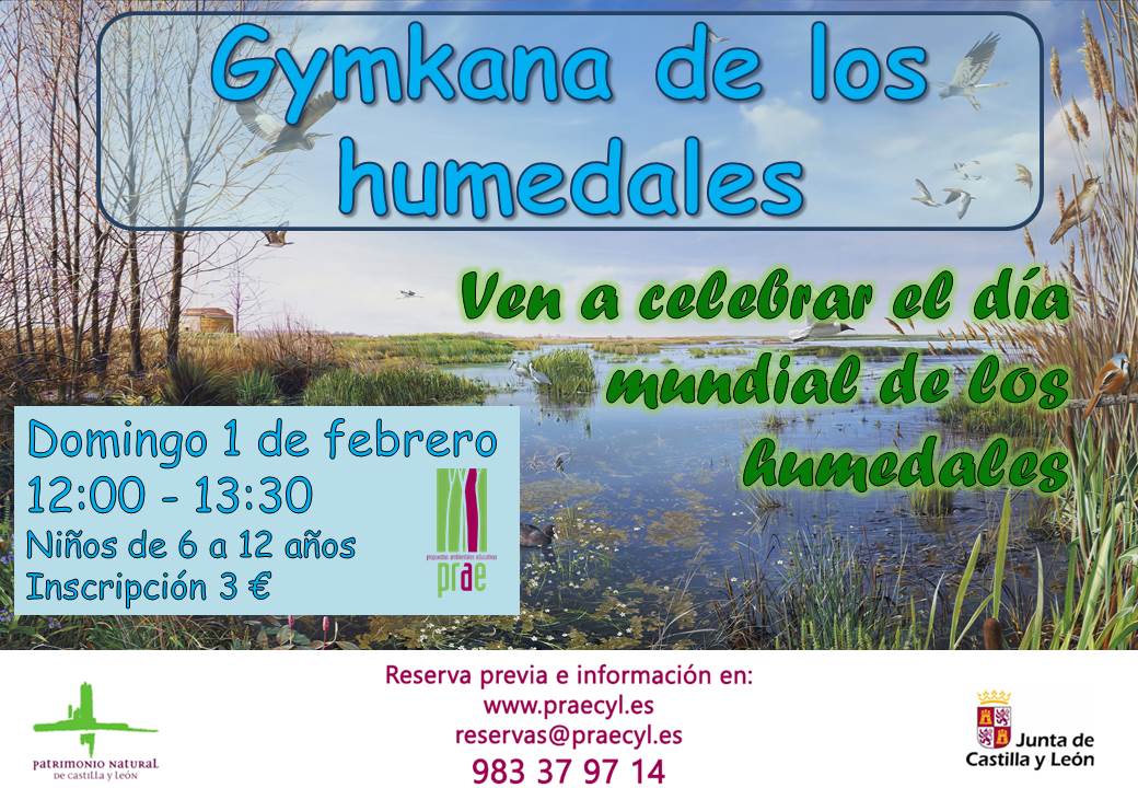 Gymkana de los humedales