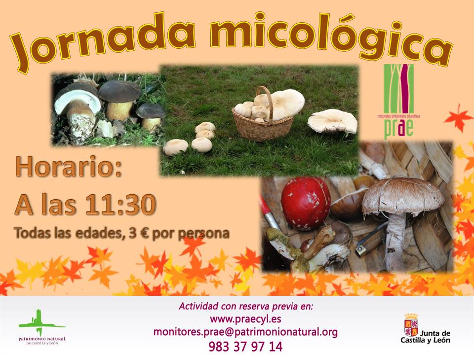 Jornada micológica