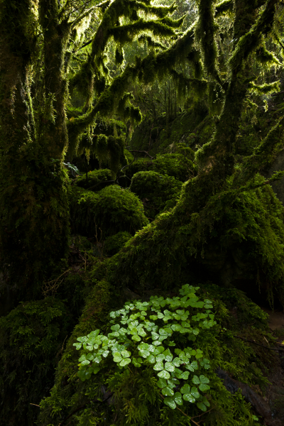 Fotógrafos de la Naturaleza 2014