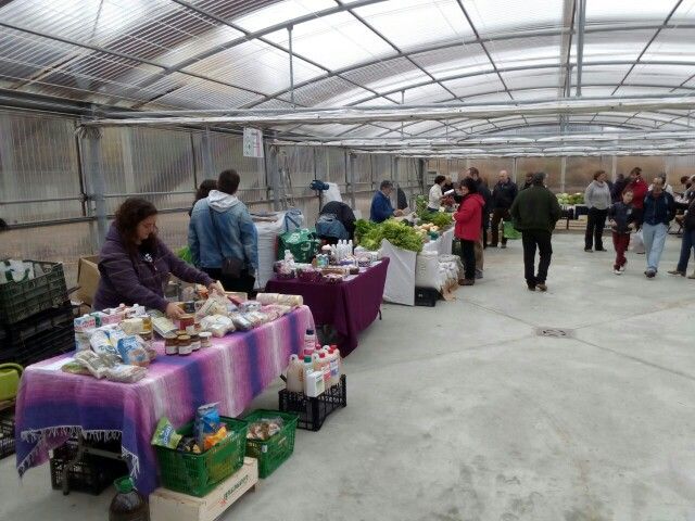 Mercado ecológico