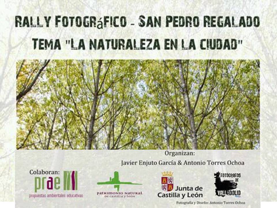 Una entrega de premios en la que la ganadaora es Valladolid