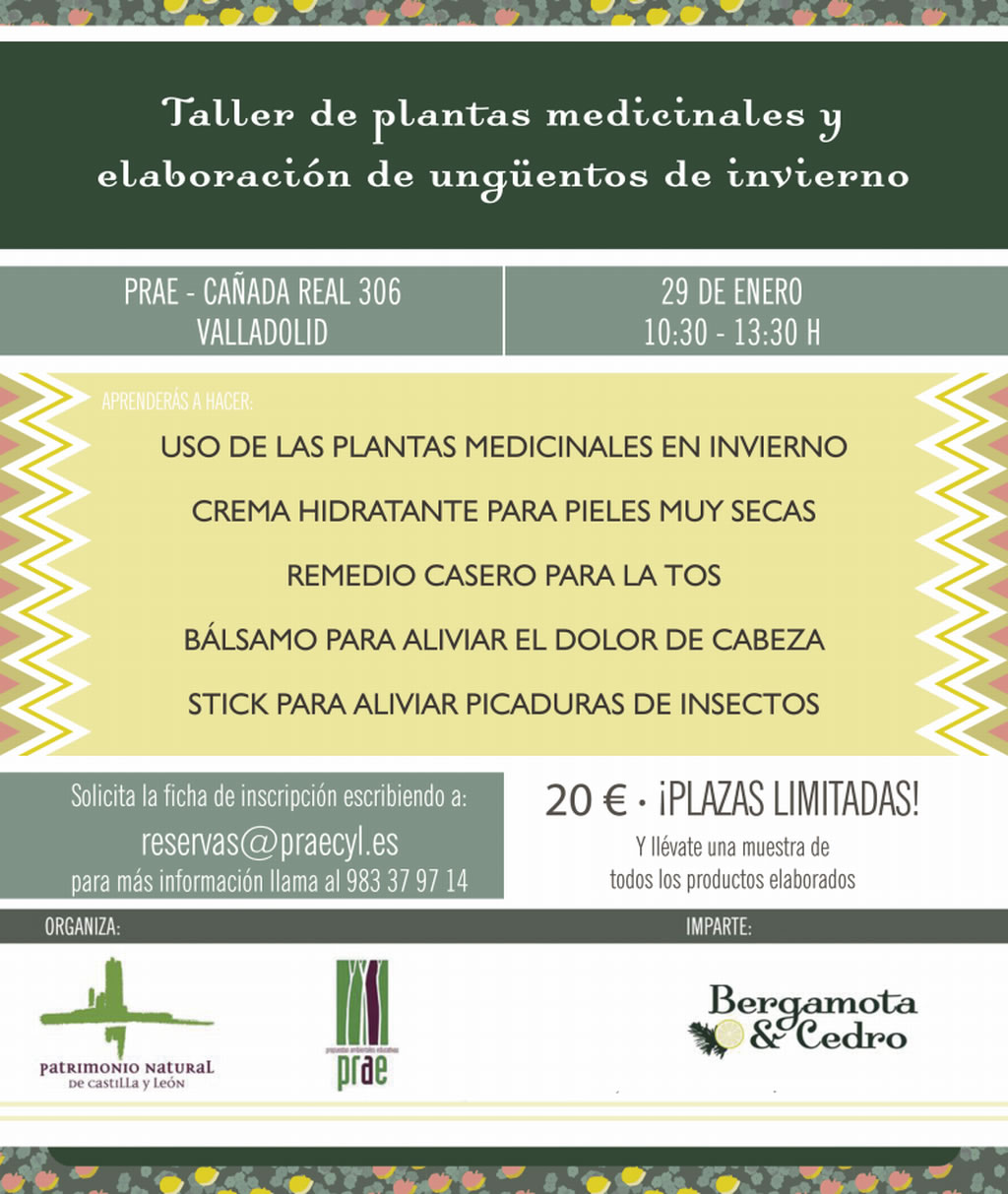Taller de plantas medicinales y elaboración de ungüentos de invierno
