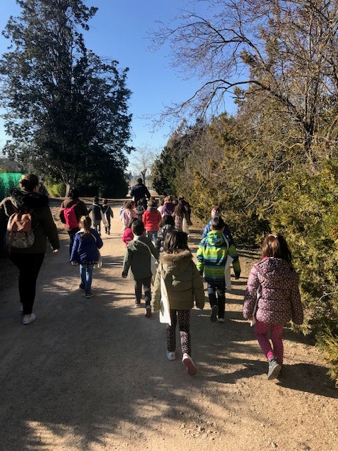 OFERTA DE ACTIVIDADES PARA ESCOLARES